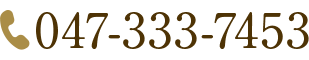 電話番号: 047-711-3399